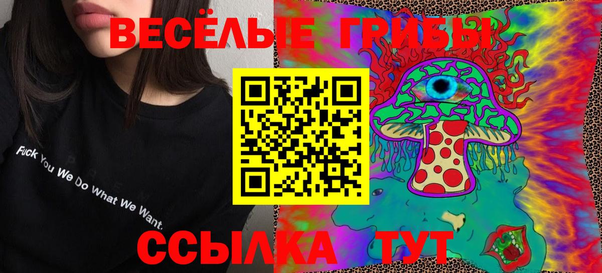 Галлюциногенные грибы Magic Shrooms Санкт-Петербург