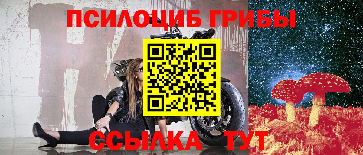 Санкт-Петербург  Псилоцибиновые грибы Psilocybine cubensis  Вход с VPN 